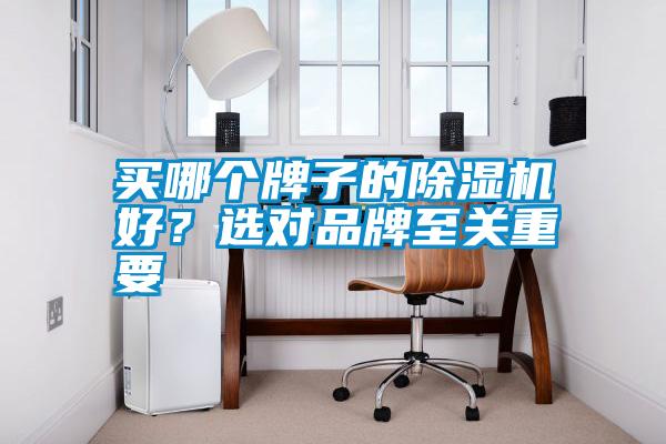 買哪個牌子的除濕機好？選對品牌至關(guān)重要