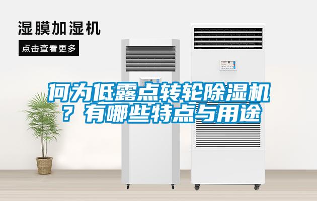 何為低露點(diǎn)轉(zhuǎn)輪除濕機(jī)？有哪些特點(diǎn)與用途