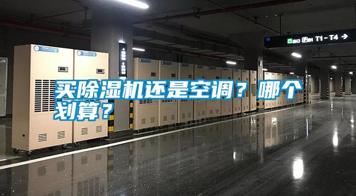 買除濕機還是空調？哪個劃算？