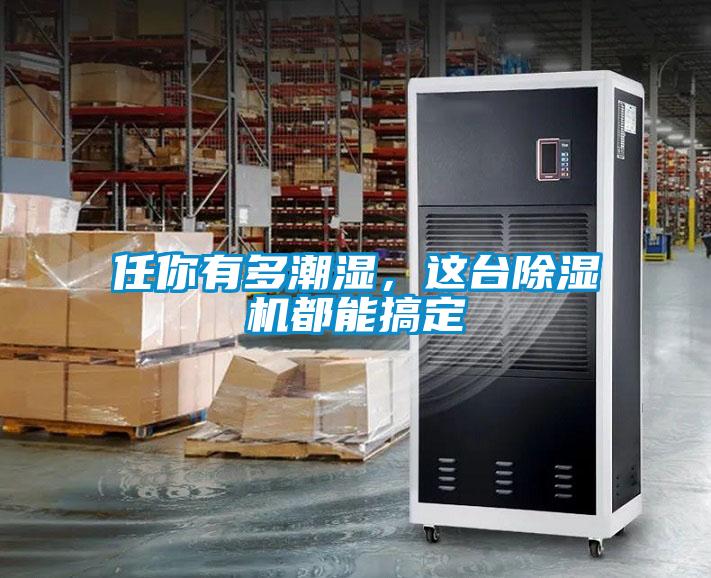 任你有多潮濕，這臺除濕機都能搞定