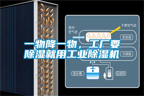 一物降一物，工廠要除濕就用工業(yè)除濕機(jī)