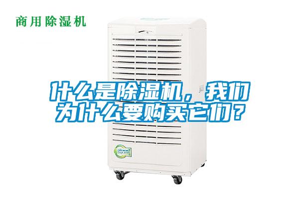 什么是除濕機，我們為什么要購買它們？