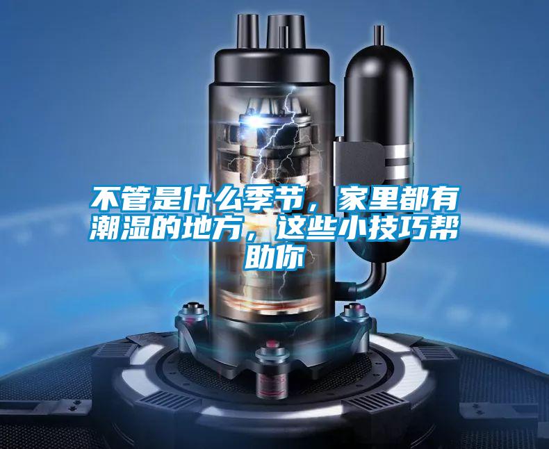 不管是什么季節，家里都有潮濕的地方，這些小技巧幫助你