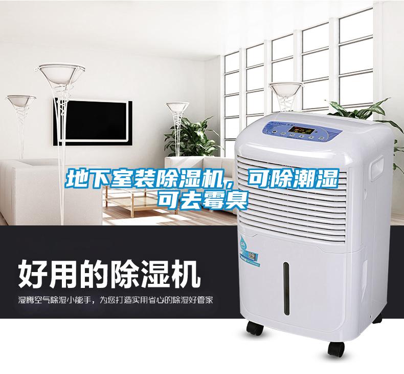 地下室裝除濕機(jī)，可除潮濕可去霉臭