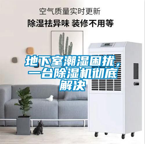 地下室潮濕困擾，一臺除濕機(jī)徹底解決