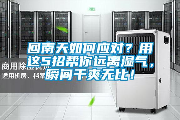 回南天如何應對？用這5招幫你遠離濕氣，瞬間干爽無比！