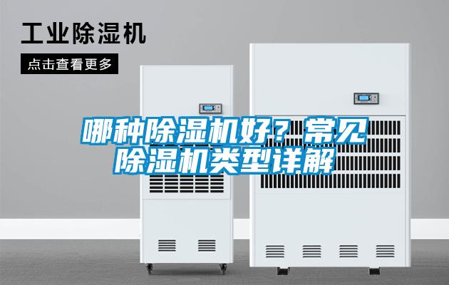 哪種除濕機好？常見除濕機類型詳解