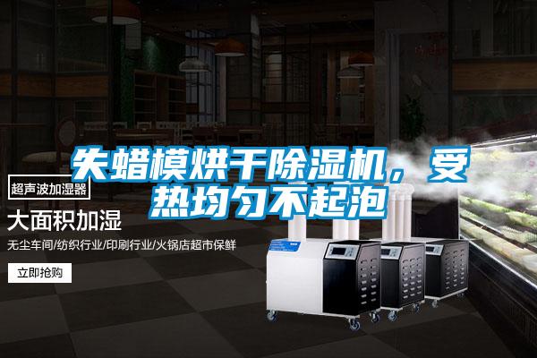 失蠟模烘干除濕機，受熱均勻不起泡
