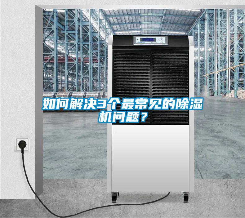 如何解決3個最常見的除濕機問題？