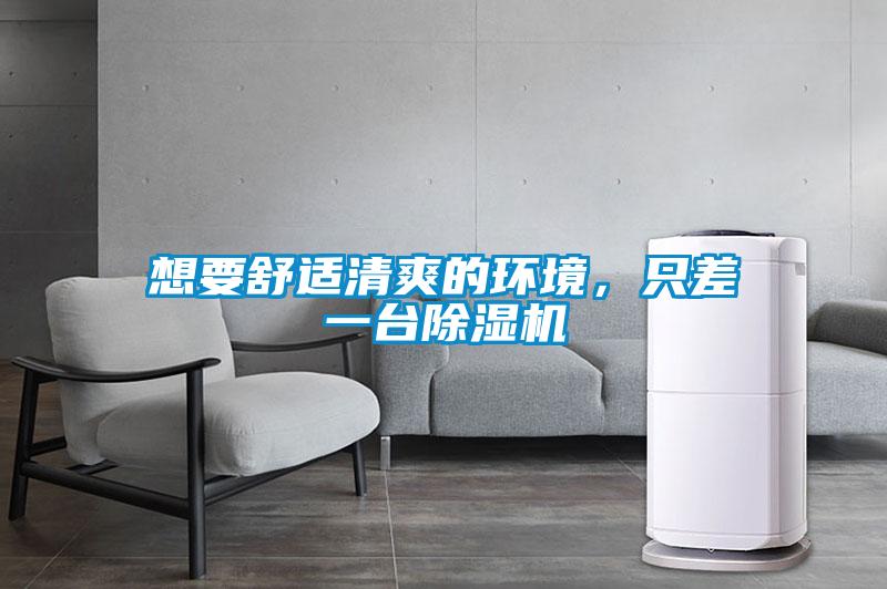 想要舒適清爽的環(huán)境，只差一臺(tái)除濕機(jī)