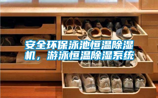 安全環保泳池恒溫除濕機，游泳恒溫除濕系統