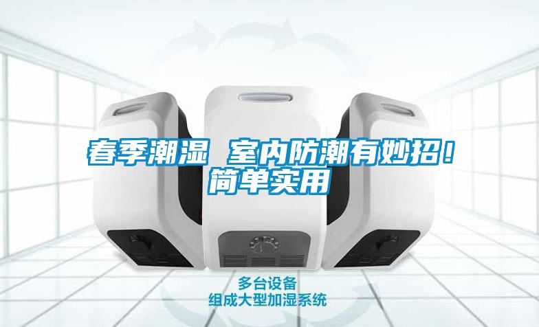 春季潮濕 室內防潮有妙招！簡單實用
