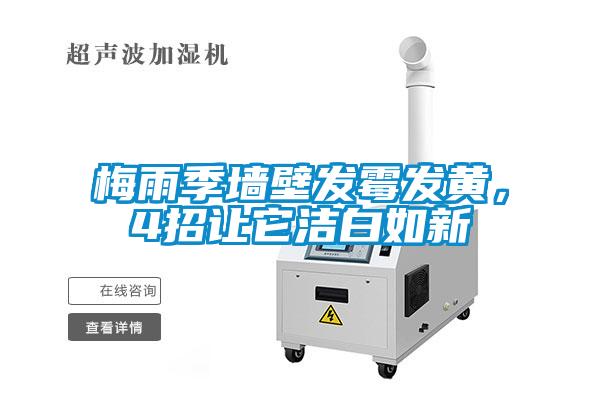 梅雨季墻壁發霉發黃，4招讓它潔白如新