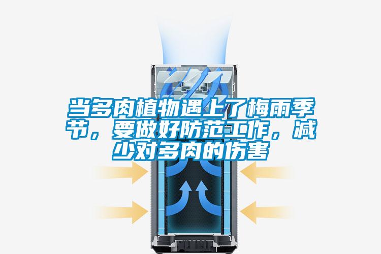 當(dāng)多肉植物遇上了梅雨季節(jié)，要做好防范工作，減少對(duì)多肉的傷害