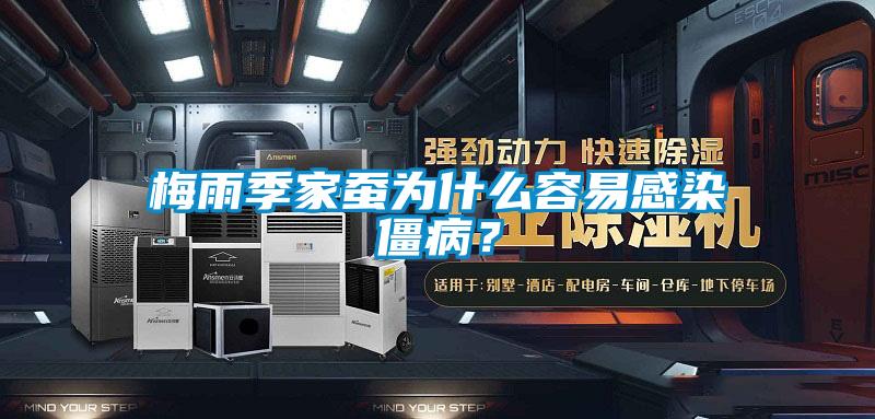 梅雨季家蠶為什么容易感染僵病？