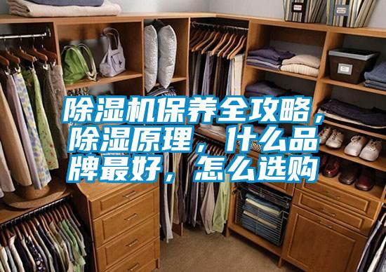 除濕機(jī)保養(yǎng)全攻略，除濕原理，什么品牌最好，怎么選購