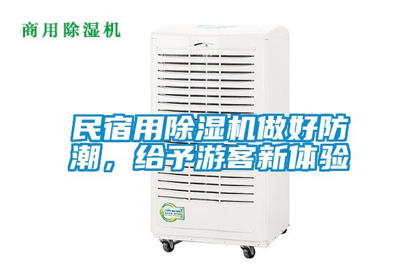 民宿用除濕機做好防潮，給予游客新體驗