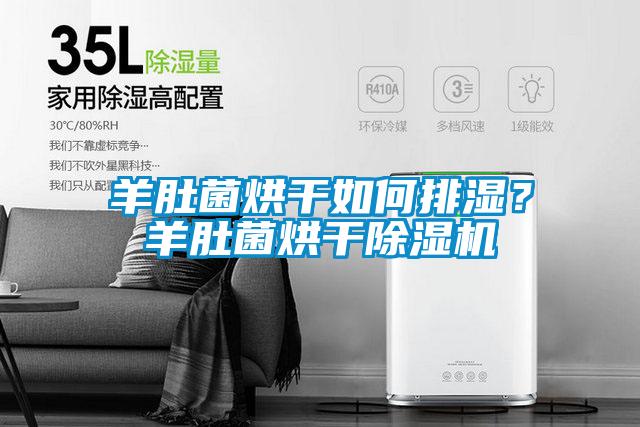 羊肚菌烘干如何排濕？羊肚菌烘干除濕機