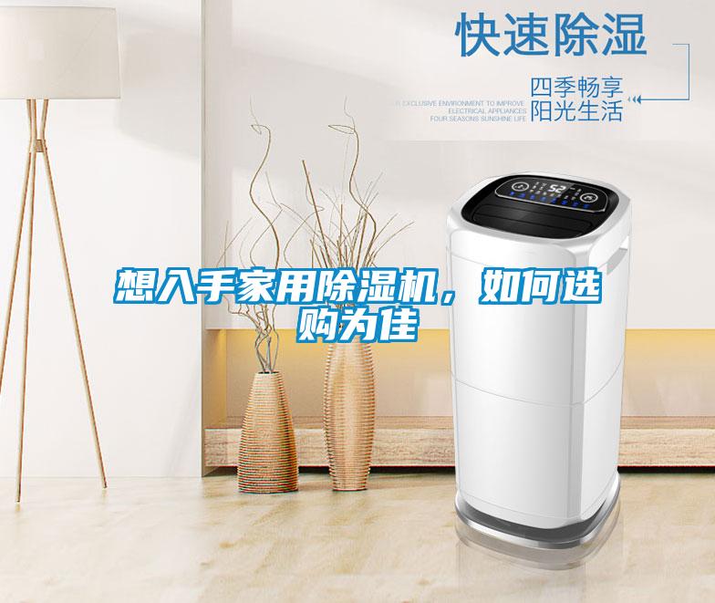 想入手家用除濕機，如何選購為佳