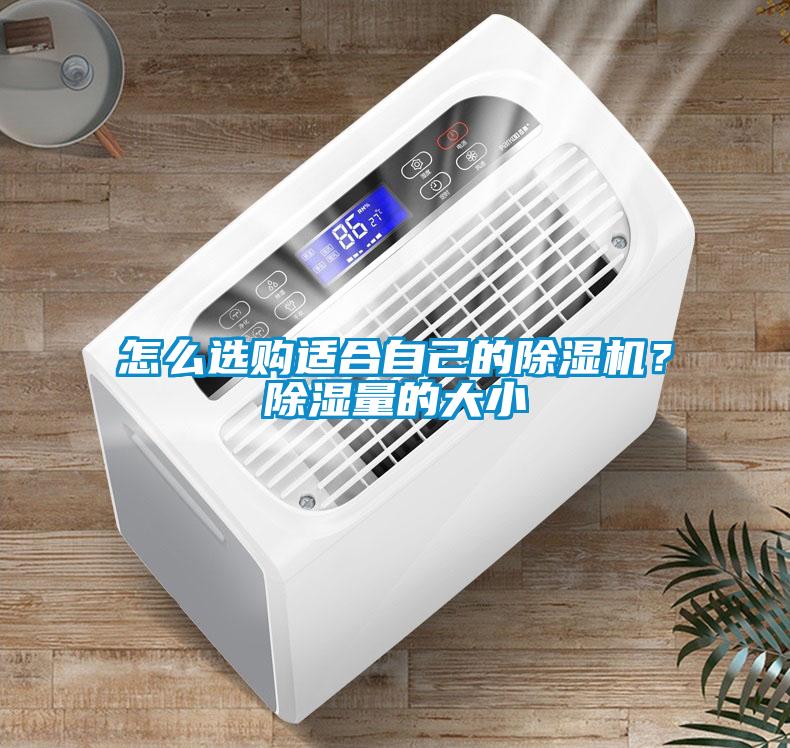 怎么選購(gòu)適合自己的除濕機(jī)？除濕量的大小