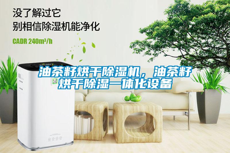 油茶籽烘干除濕機，油茶籽烘干除濕一體化設備