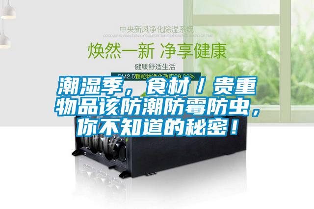 潮濕季，食材／貴重物品該防潮防霉防蟲，你不知道的秘密！