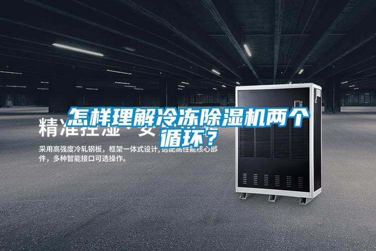 怎樣理解冷凍除濕機兩個循環？