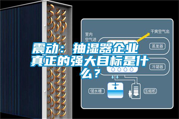 震動：抽濕器企業(yè) 真正的強大目標(biāo)是什么？