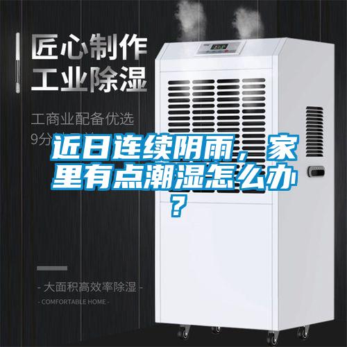 近日連續陰雨，家里有點潮濕怎么辦？
