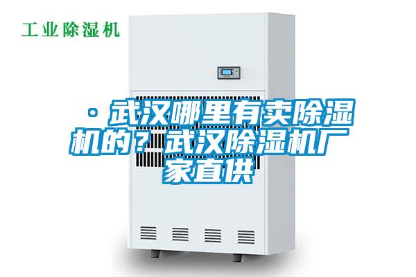 ·武漢哪里有賣(mài)除濕機(jī)的？武漢除濕機(jī)廠(chǎng)家直供