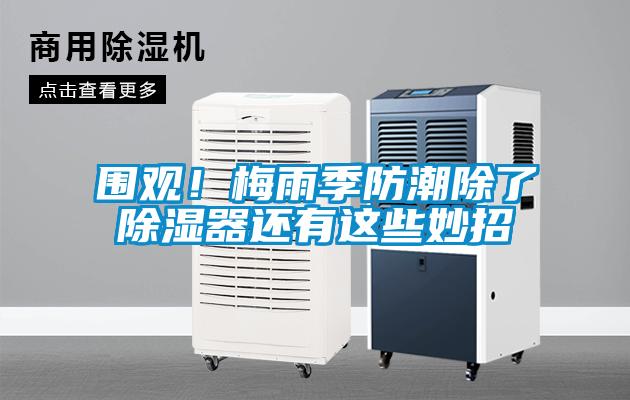 圍觀！梅雨季防潮除了除濕器還有這些妙招