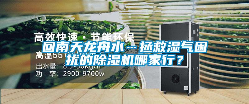 回南天龍舟水…拯救濕氣困擾的除濕機哪家行？