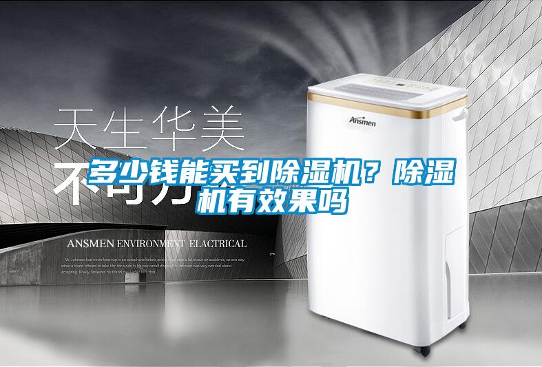 多少錢(qián)能買(mǎi)到除濕機(jī)？除濕機(jī)有效果嗎