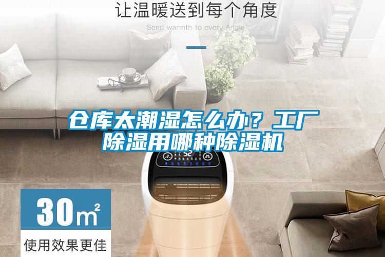 倉庫太潮濕怎么辦？工廠除濕用哪種除濕機