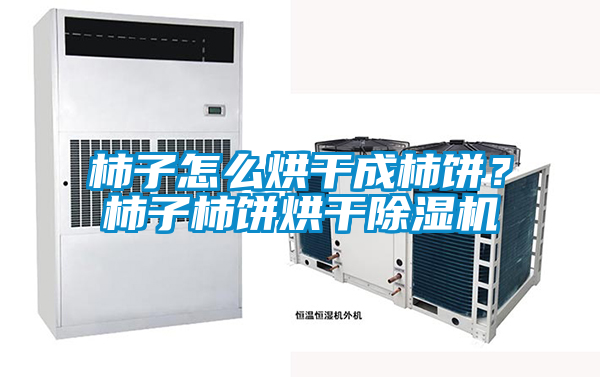 柿子怎么烘干成柿餅？柿子柿餅烘干除濕機(jī)