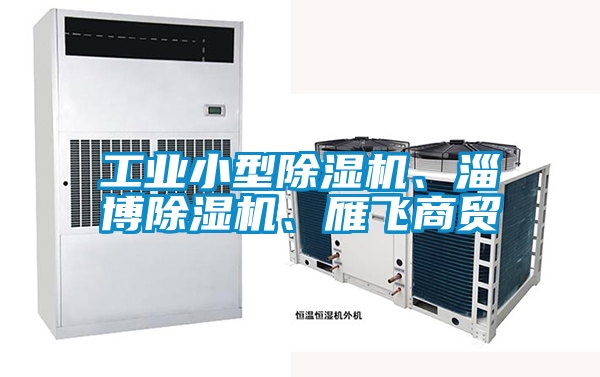 工業小型除濕機、淄博除濕機、雁飛商貿