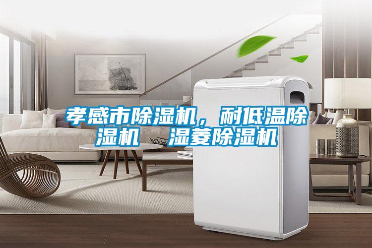 孝感市除濕機(jī)，耐低溫除濕機(jī)  濕菱除濕機(jī)