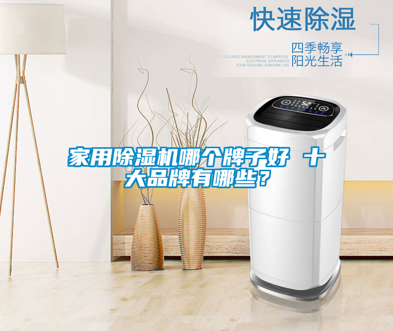 家用除濕機哪個牌子好 十大品牌有哪些？