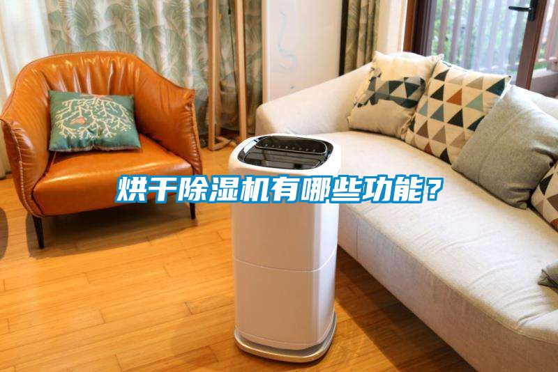 烘干除濕機有哪些功能？