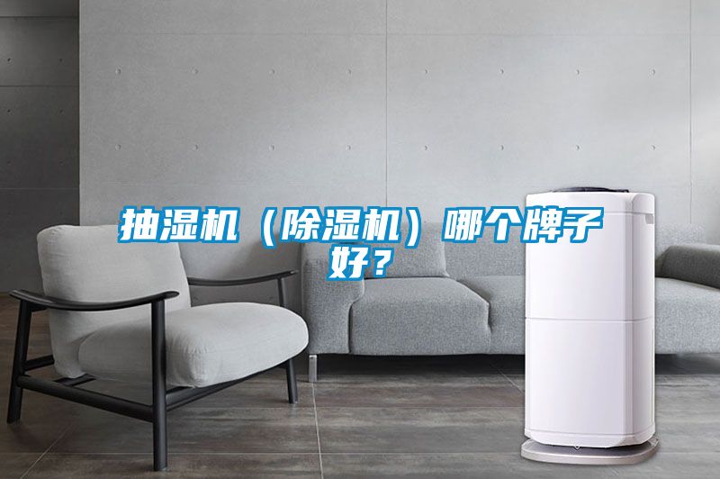 抽濕機（除濕機）哪個牌子好？