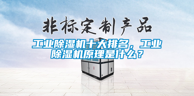 工業除濕機十大排名，工業除濕機原理是什么？