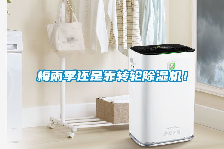 梅雨季還是靠轉輪除濕機！