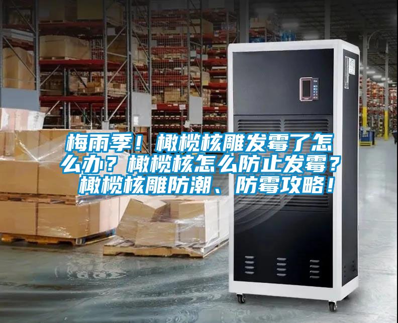 梅雨季！橄欖核雕發霉了怎么辦？橄欖核怎么防止發霉？ 橄欖核雕防潮、防霉攻略！