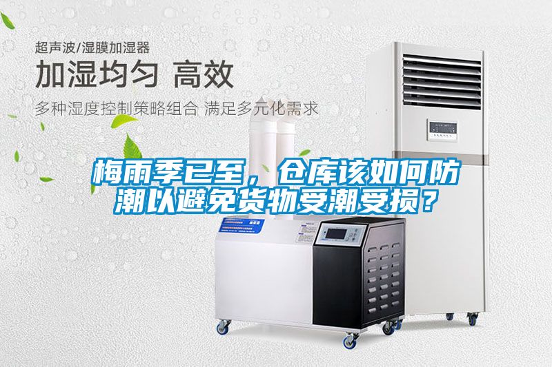 梅雨季已至，倉(cāng)庫(kù)該如何防潮以避免貨物受潮受損？