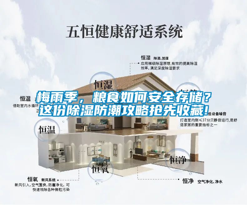 梅雨季，糧食如何安全存儲？這份除濕防潮攻略搶先收藏!
