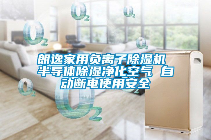 朗逸家用負離子除濕機 半導(dǎo)體除濕凈化空氣 自動斷電使用安全