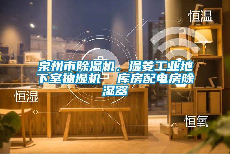 泉州市除濕機(jī)，濕菱工業(yè)地下室抽濕機(jī)  庫(kù)房配電房除濕器