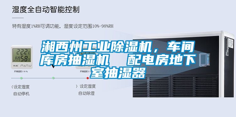 湘西州工業(yè)除濕機(jī)，車間庫(kù)房抽濕機(jī)  配電房地下室抽濕器
