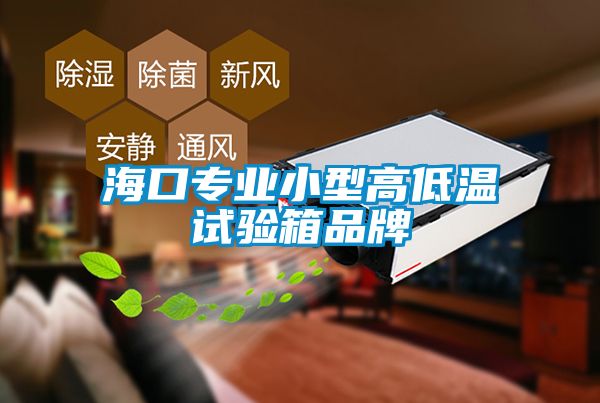 ?？趯I(yè)小型高低溫試驗箱品牌