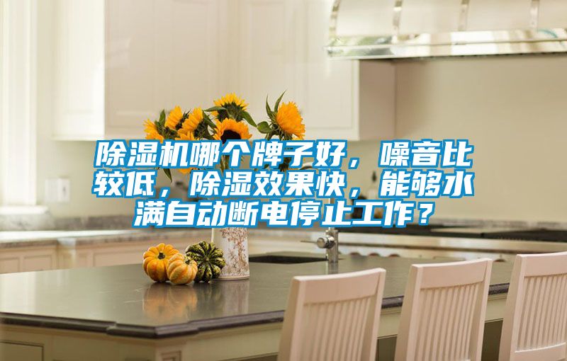 除濕機哪個牌子好，噪音比較低，除濕效果快，能夠水滿自動斷電停止工作？